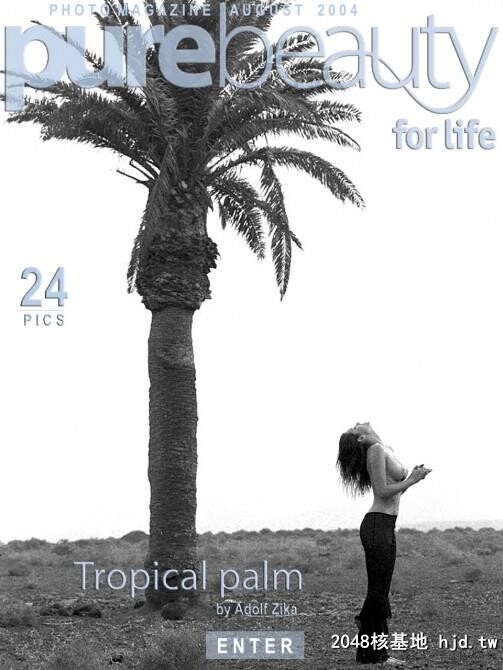 Stana-TropicalPalm[24P]第0页 作者:Publisher 帖子ID:89319 TAG:欧美图片,歐美激情,2048核基地