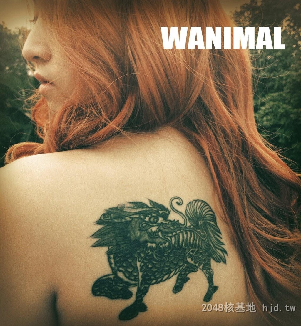 王动WANIMAL作品100[10p]第0页 作者:Publisher 帖子ID:273255 TAG:自拍图片,網友自拍,2048核基地