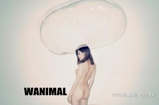 王动WANIMAL作品328[20p]第0页 作者:Publisher 帖子ID:283246 TAG:日本图片,亞洲激情,2048核基地