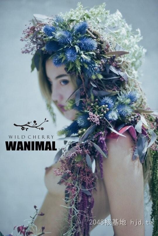 王动WANIMAL作品349[20p]第0页 作者:Publisher 帖子ID:284855 TAG:日本图片,亞洲激情,2048核基地