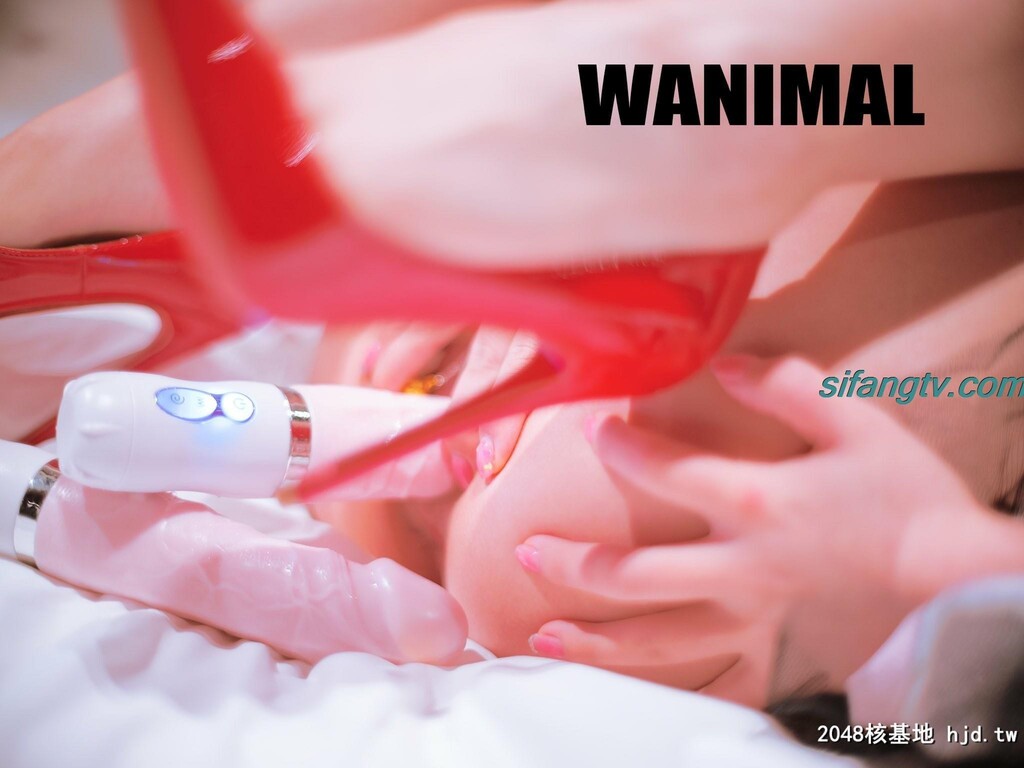 知一妹妹wanimal[52P]第0页 作者:Publisher 帖子ID:288419 TAG:唯美图片,唯美清純,2048核基地